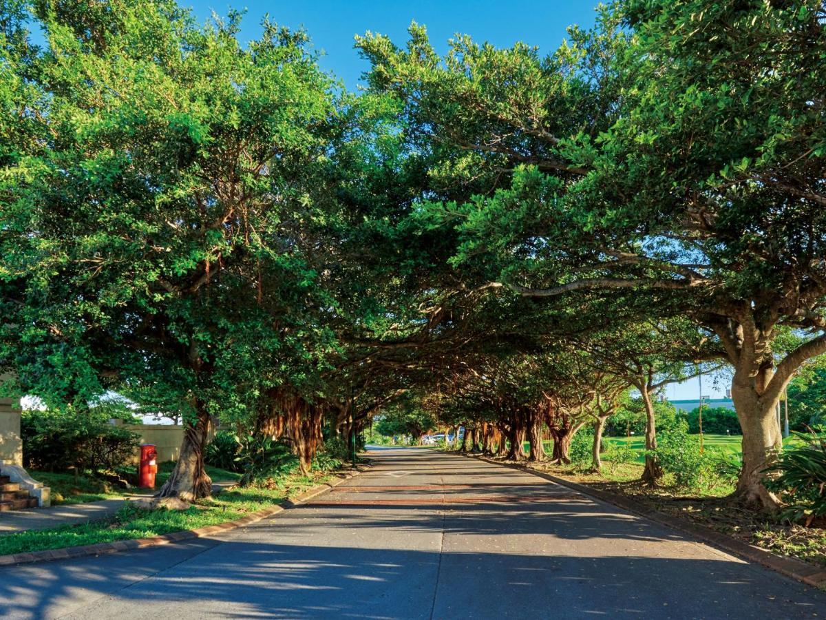 فندق نيكو أليفيلا يوميتان المظهر الخارجي الصورة The Avenue of the Oaks